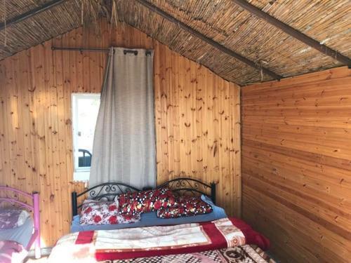 Джараш: Mount Birgish Eco Camp