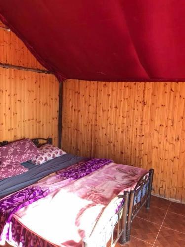Джараш: Mount Birgish Eco Camp