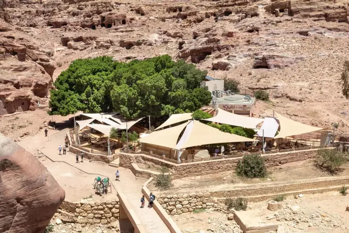Вади-Муса: Petra Guest House