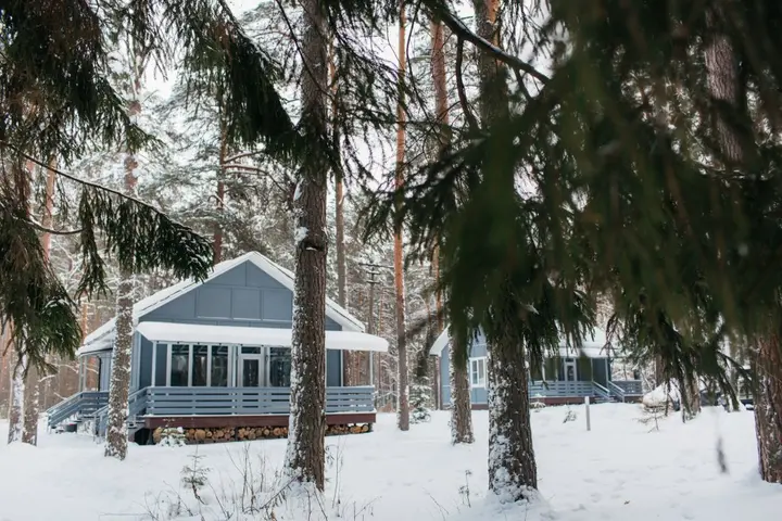 Зеленогорск: Апартаменты Искатель