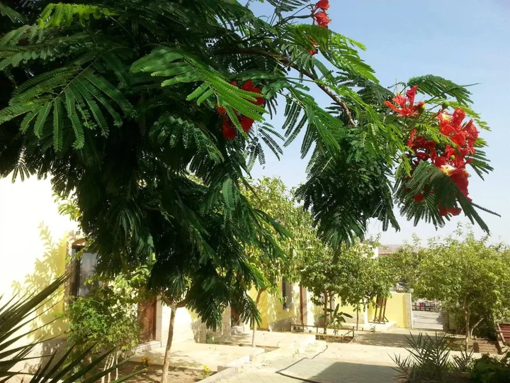 Акаба: Darna Village Beach Hostel