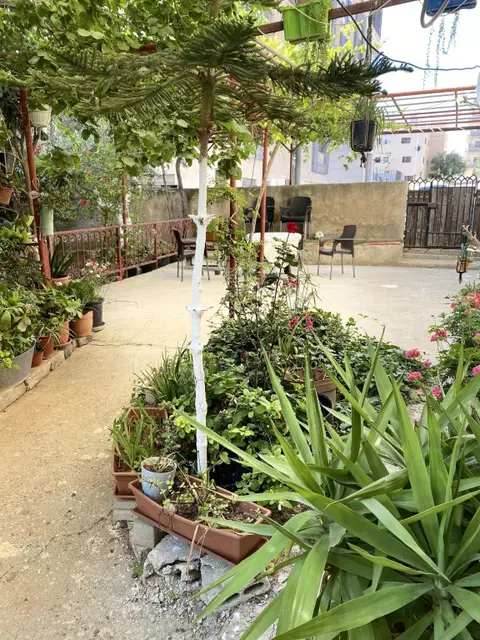 Мадаба: Madaba Inn Hotel