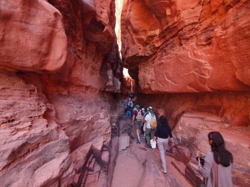 Вади-Рум: Wadi Rum Lovers Camp