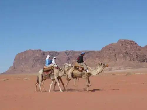 carousel image 3