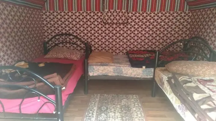 Вади-Рум: Bedouin habits tours camp