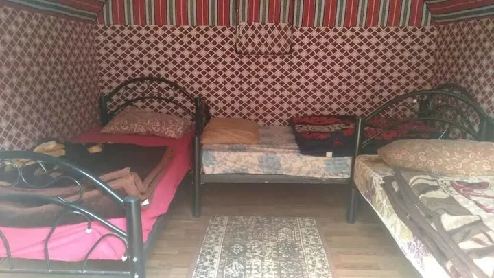 Вади-Рум: Bedouin habits tours camp