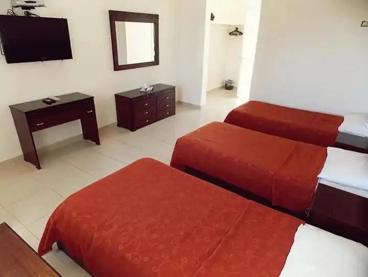 Солт: Olive Branch Hotel