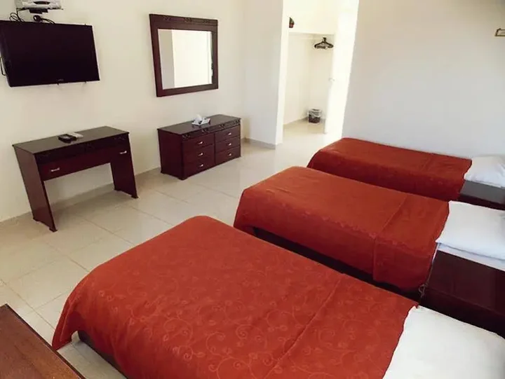Солт: Olive Branch Hotel