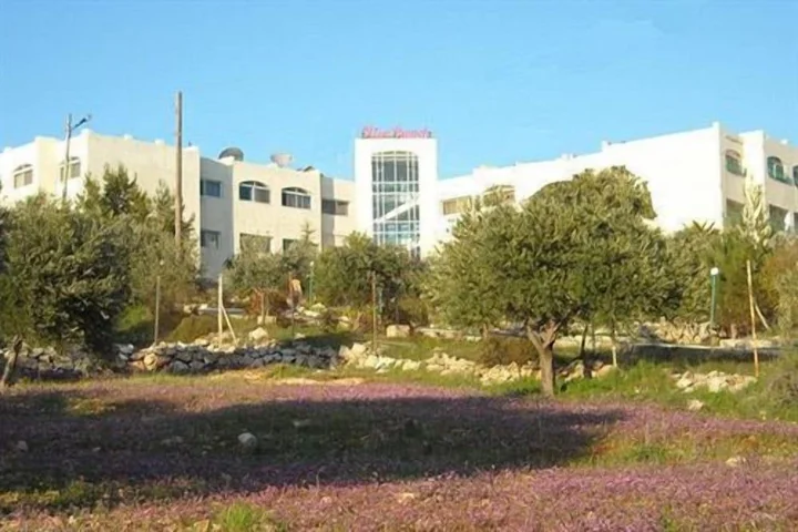 Солт: Olive Branch Hotel
