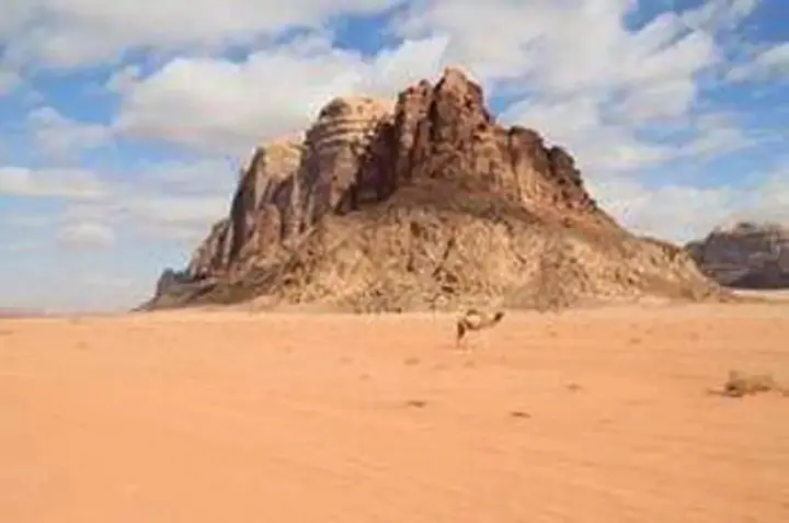 Вади-Рум: Sand Dunes Camp