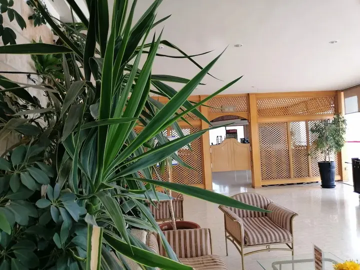 Вади-Муса: Petra Panorama Hotel