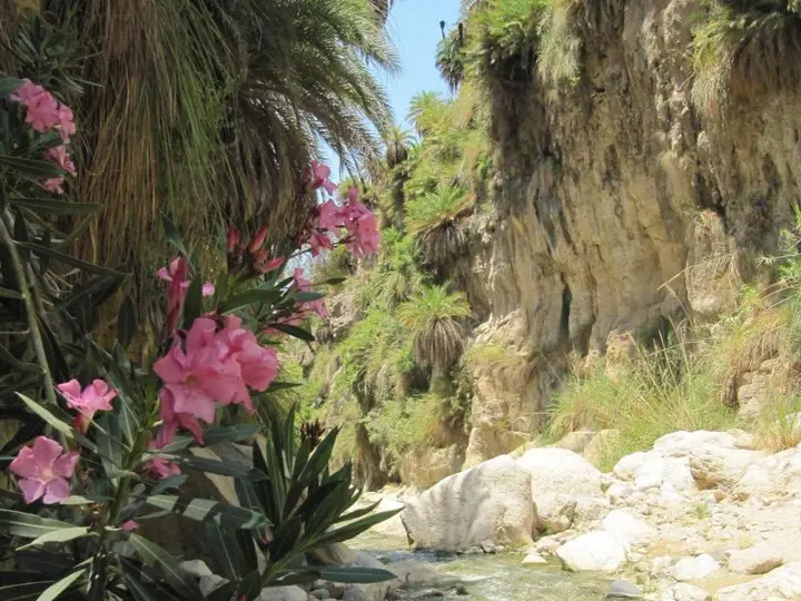 Мадаба: Queen Madaba Ayola Private Home Experience