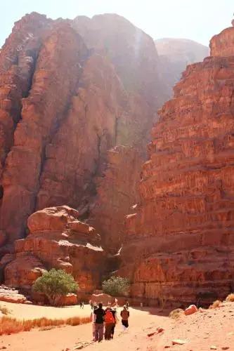 Вади-Рум: Wadi Rum Green Desert