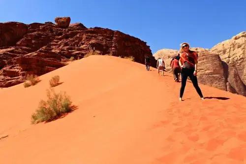 Вади-Рум: Wadi Rum Green Desert