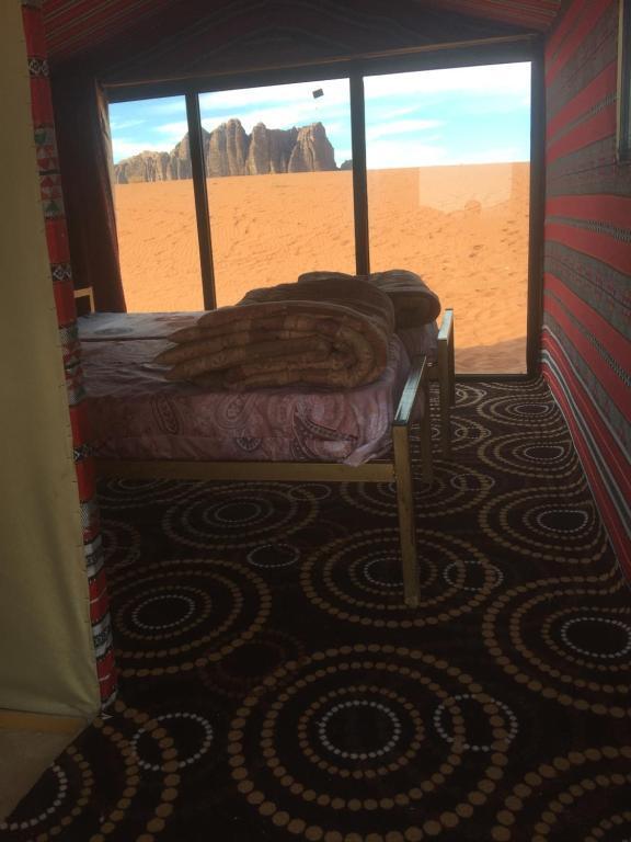 Вади-Рум: Wadi Rum Starlight Camp