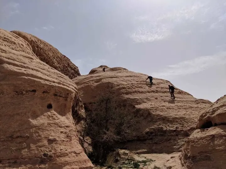 Вади-Рум: Bedouin Roads Camp