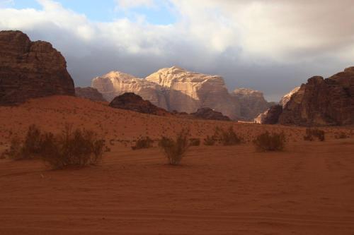 Вади-Рум: Salem Desert Camp