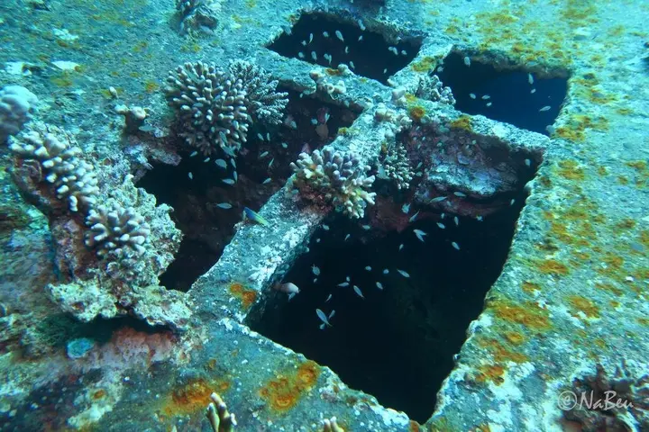 Акаба: Bait al Aqaba Dive Center & Resort