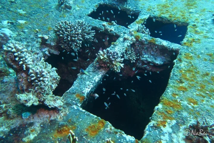 Акаба: Bait al Aqaba Dive Center & Resort