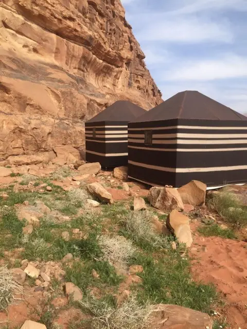 Вади-Рум: Bedouin Host Camp