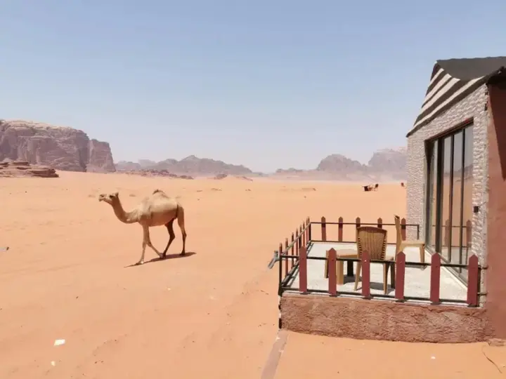 Вади-Рум: Magic Bedouin Star - Campsite
