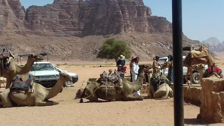 Вади-Рум: Bedouin Hostel