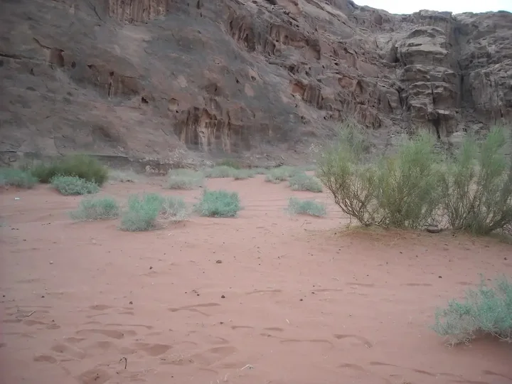 Вади-Рум: Bedouin House Camp