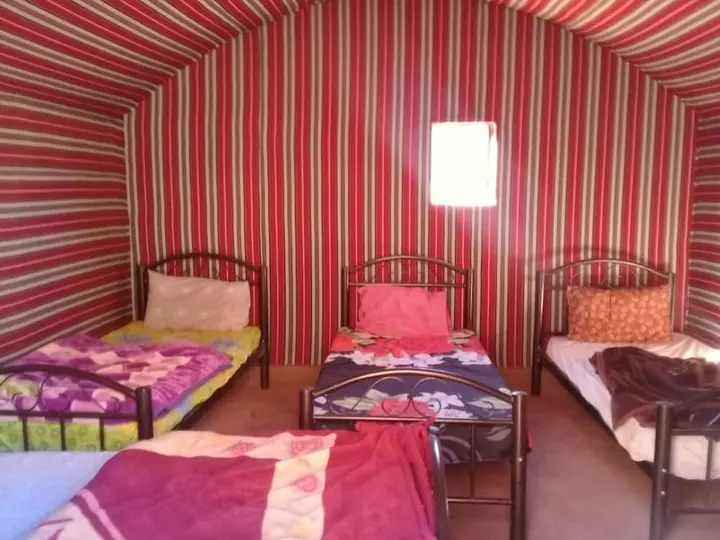 Вади-Рум: Wildlife Camp