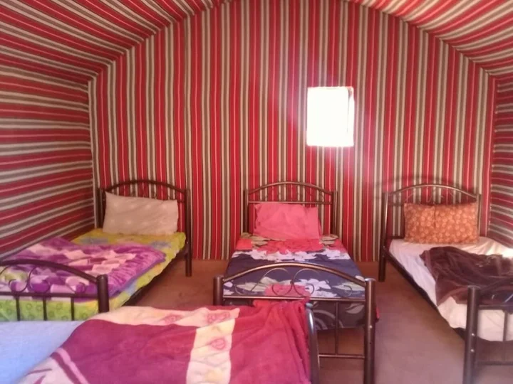 Вади-Рум: Wildlife Camp