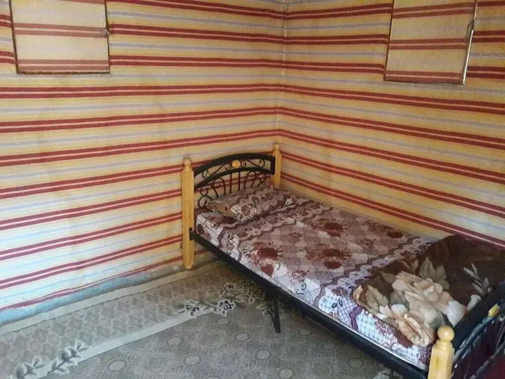 Вади-Рум: Wildlife Camp