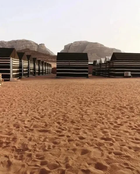 Вади-Рум: Sand Rose Camp - Hillawi Camp