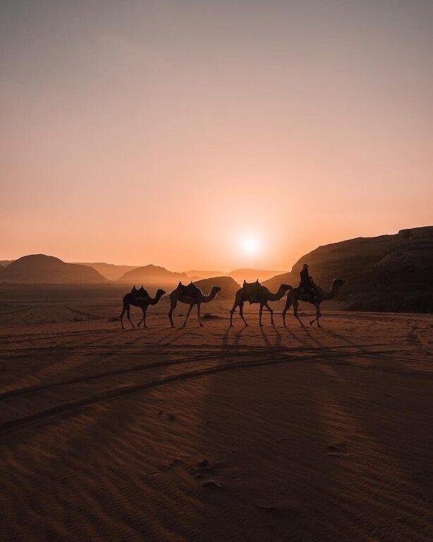 Вади-Рум: Desert Star Camp Wadi Rum