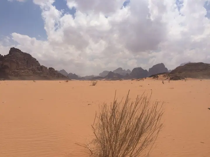 Вади-Рум: Desert Star Camp Wadi Rum