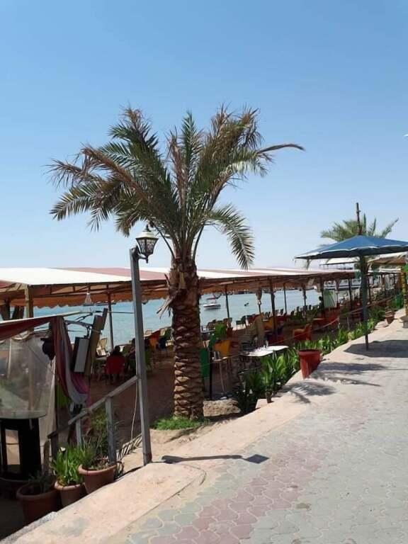 Акаба: Alamer Hostel 2
