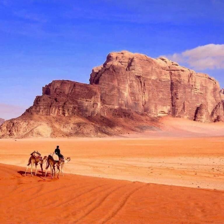 Вади-Рум: Wadi Rum Memories Camp