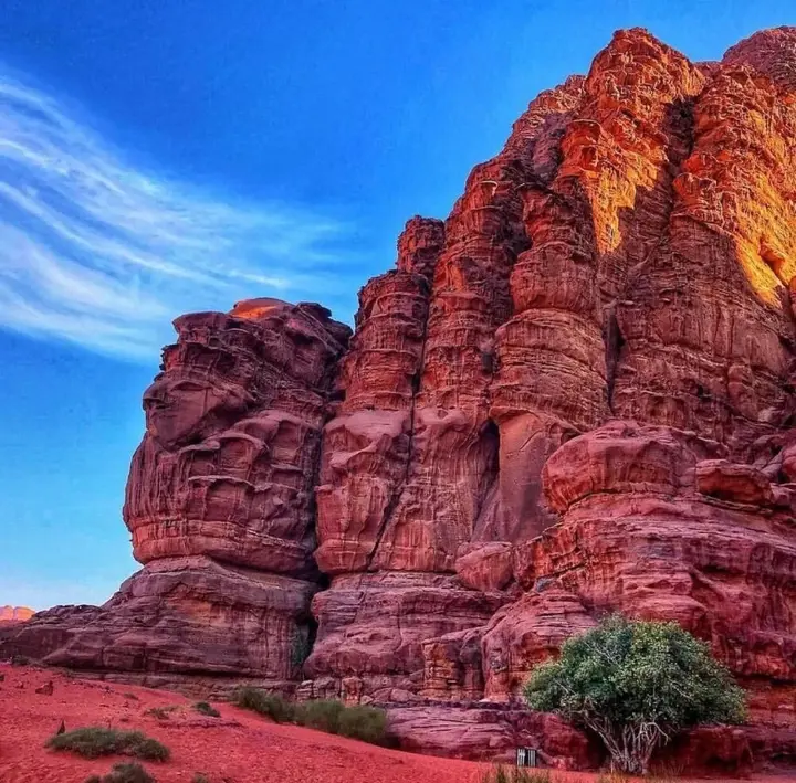 Вади-Рум: Wadi Rum Memories Camp