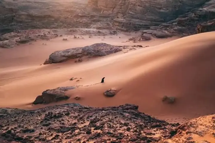 Вади-Рум: Wadi rum echo camp