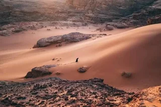 Вади-Рум: Wadi rum echo camp