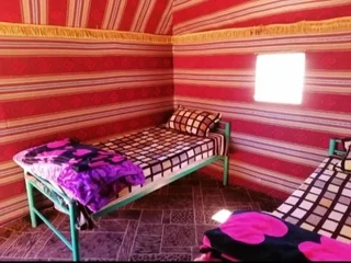 Вади-Рум: Wadi rum echo camp