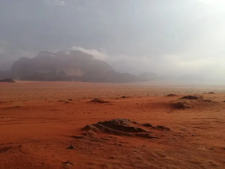 Вади-Рум: Wadirum Desert Tours camp