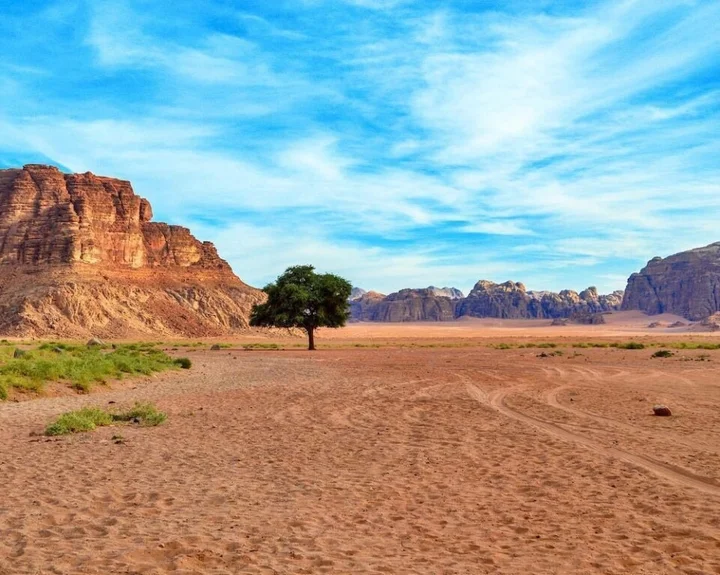 Вади-Рум: Ali Wadi Rum Moon Camp