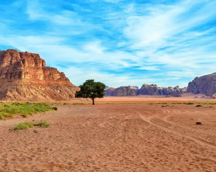 Вади-Рум: Ali Wadi Rum Moon Camp