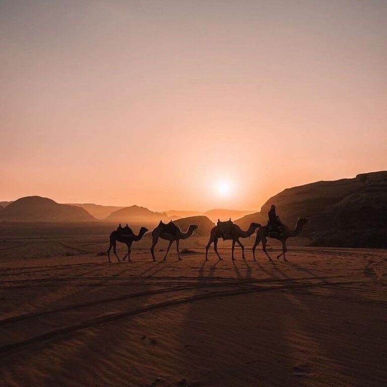 Вади-Рум: Wadi rum Desert Bedouin Life
