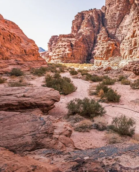 Вади-Рум: Wadi rum Desert Bedouin Life