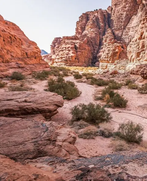 Вади-Рум: Wadi rum Desert Bedouin Life