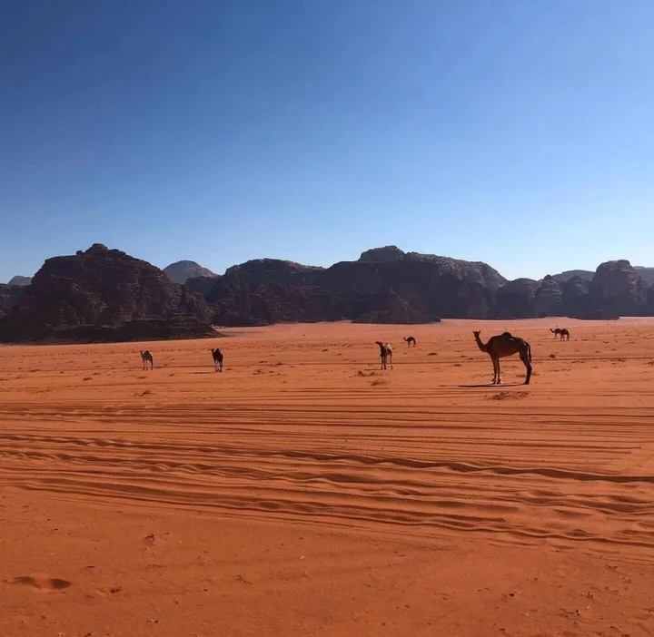 Вади-Рум: Rashed Awwad Camp With Tour
