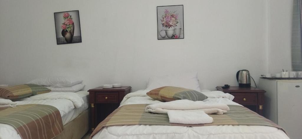Вади-Муса: Petra Wonder Home
