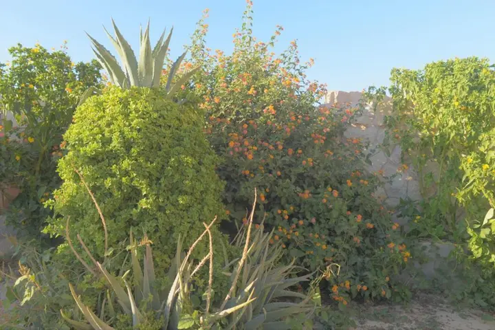 Вади-Муса: Happy Bedouin House Petra