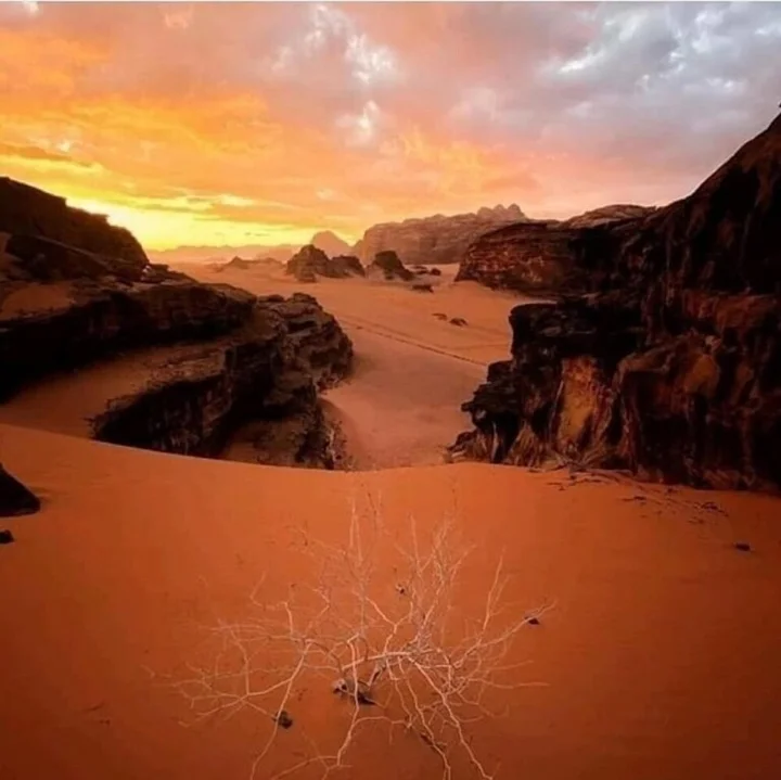 Вади-Рум: sand camp wadi rum