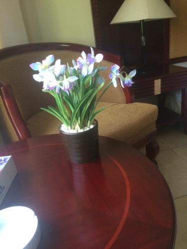 Амман: Ya Hala Furnished Appartment